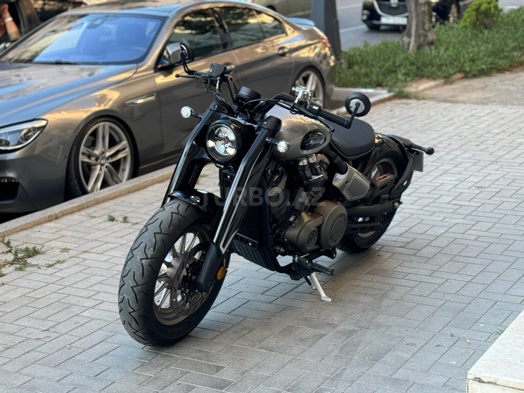 BENDA Napoleonbob 500
