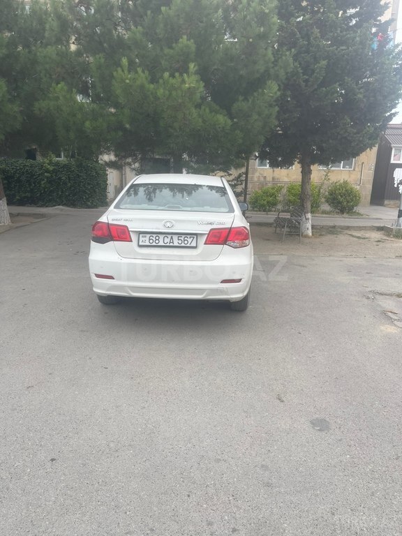 GWM (Great Wall Motor) Voleex C30