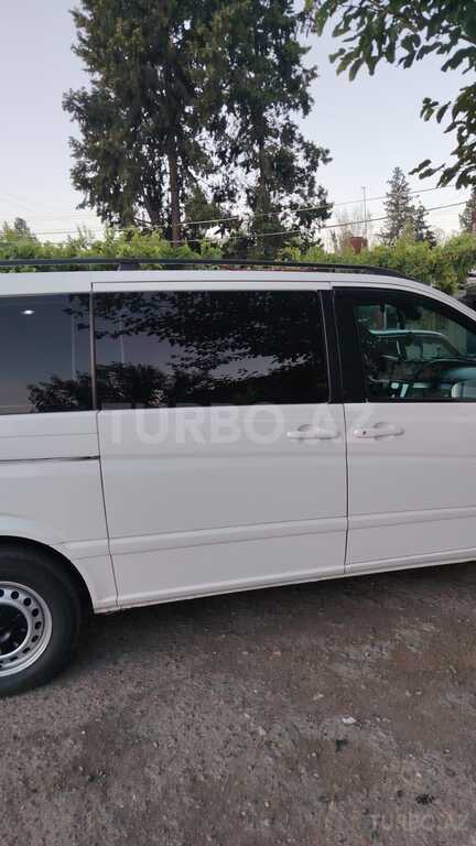 Mercedes Viano