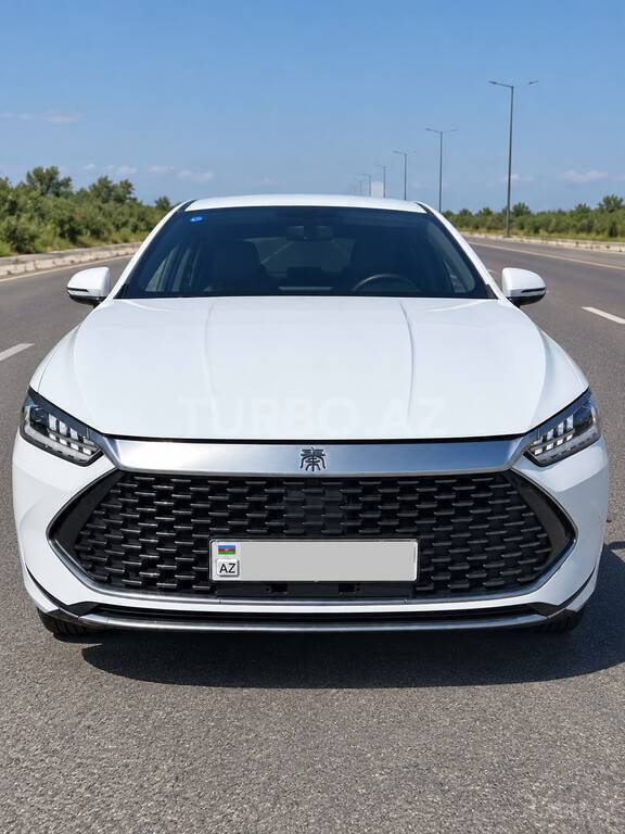 BYD Qin Plus, 1.5 L, 18.32 kWh, 2024 il, 54 000 km