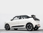 DongFeng Nammi Box-4
