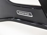 DongFeng Nammi Box-11