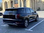Hyundai Palisade-13