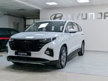 Hyundai Custin-3