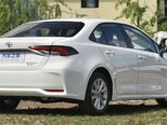 Toyota Corolla-6