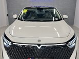 Venucia V-Online DD-i-2