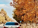 BMW 530-19