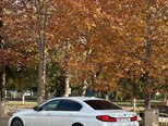 BMW 530-20