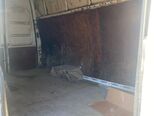 Ford Transit-8