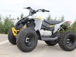 BRP REN 2X4 110-4ST-2