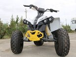 BRP REN 2X4 110-4ST-3