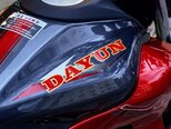 Dayun DY200-3AF-14