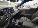 Lexus ES 300h-19
