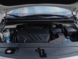 Kia Carnival-21