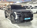 Hyundai Palisade-2