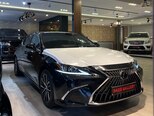 Lexus ES 300h-3