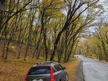 Kia Ceed-14