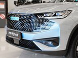 Haval H6-6