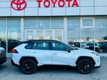 Toyota RAV4-8