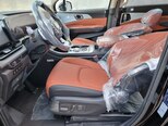 Kia Carnival-22