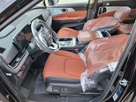 Kia Carnival-21