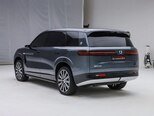 Denza N9-4
