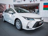 Toyota Corolla-4