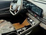 Hyundai Elantra-15