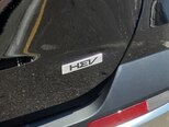 Kia Carnival-19
