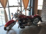 Harley-Davidson FLSTN Softail Deluxe-6