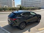 Lexus NX 200-6