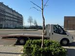 Ford Transit-4