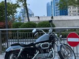 Harley-Davidson Sportster Custom 1200-1