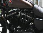 Harley-Davidson XL883N Sportster Iron 883-7