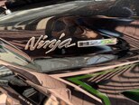 Kawasaki Ninja H2 SX-10
