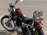 Harley-Davidson Sportster Custom 1200-5