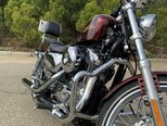 Harley-Davidson Sportster Custom 1200-4