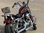 Harley-Davidson Sportster Custom 1200-6