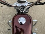 Harley-Davidson Sportster Custom 1200-11