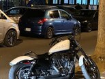 Harley-Davidson XL 1200 NS-2