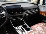 Kia Carnival-21