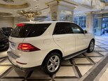Mercedes GLE 250 4MATIC-8