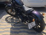Harley-Davidson XL883N Sportster Iron 883-1
