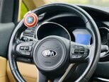 Kia Carnival-12