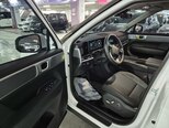 Hyundai Santa Fe-16