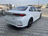 Toyota Corolla-7