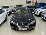 Jaguar XF-1