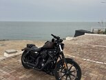 Harley-Davidson XL883N Sportster Iron 883-2