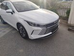 BYD Destroyer 05-18
