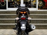 TVS Raider-8